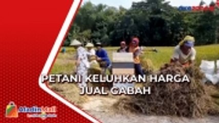Petani Keluhkan Harga Jual Gabah