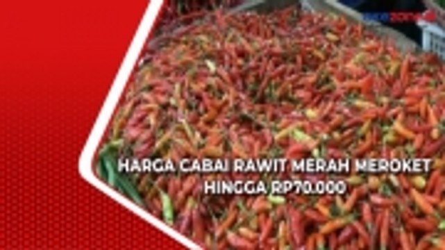 Harga Cabai Rawit Merah Meroket Hingga Rp70.000