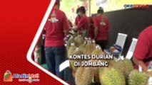 Puluhan Peserta Antusias Ikuti Kontes Durian di Jombang