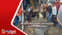 Ditangkap karena Diduga Serang Warga, BKSDA Evakuasi Buaya Raksasa