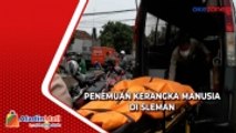 Temuan Kerangka Manusia di Kebun Tebu Gegerkan Warga Sleman