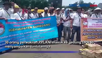 Tuntut Keadilan, Ratusan Peternak Lebah Korban Dugaan Penipuan Geruduk Gedung DPR RI