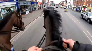Police on horseback catch a man using his phone while driving