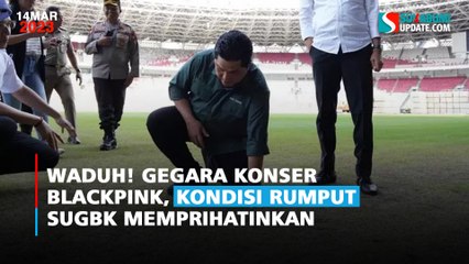 Waduh! Gegara Konser Blackpink, Kondisi Rumput SUGBK Memprihatinkan