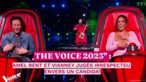 The Voice 2023 : Amel Bent et Vianney jugés irrespectueux envers un candidat