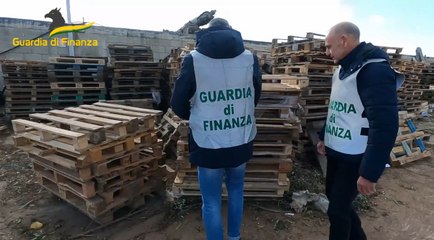Frode fiscale da oltre 26 milioni nel commercio di pallets: sequestri ad amministratori e prestanome (14.03.23)