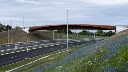 Leeds headlines 14 March: East Leeds Orbital Road bombarded by bikes