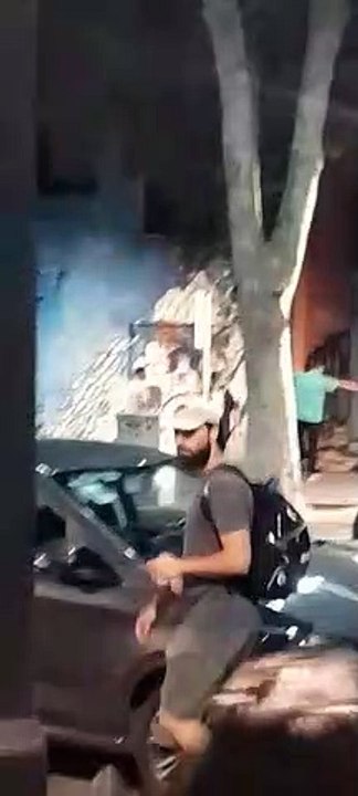 Pelea Maldito perro