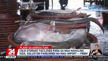 Cold storage facilities para sa mga nahuling isda, solusyon para hindi na mag-import -- PBBM | 24 Oras