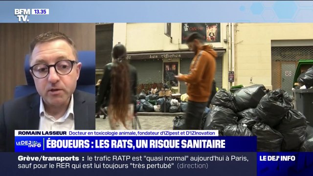 Grève des éboueurs: Le risque sanitaire est bien réel , alerte Romain Lasseur, docteur en toxicologie animale, sur la question des rats