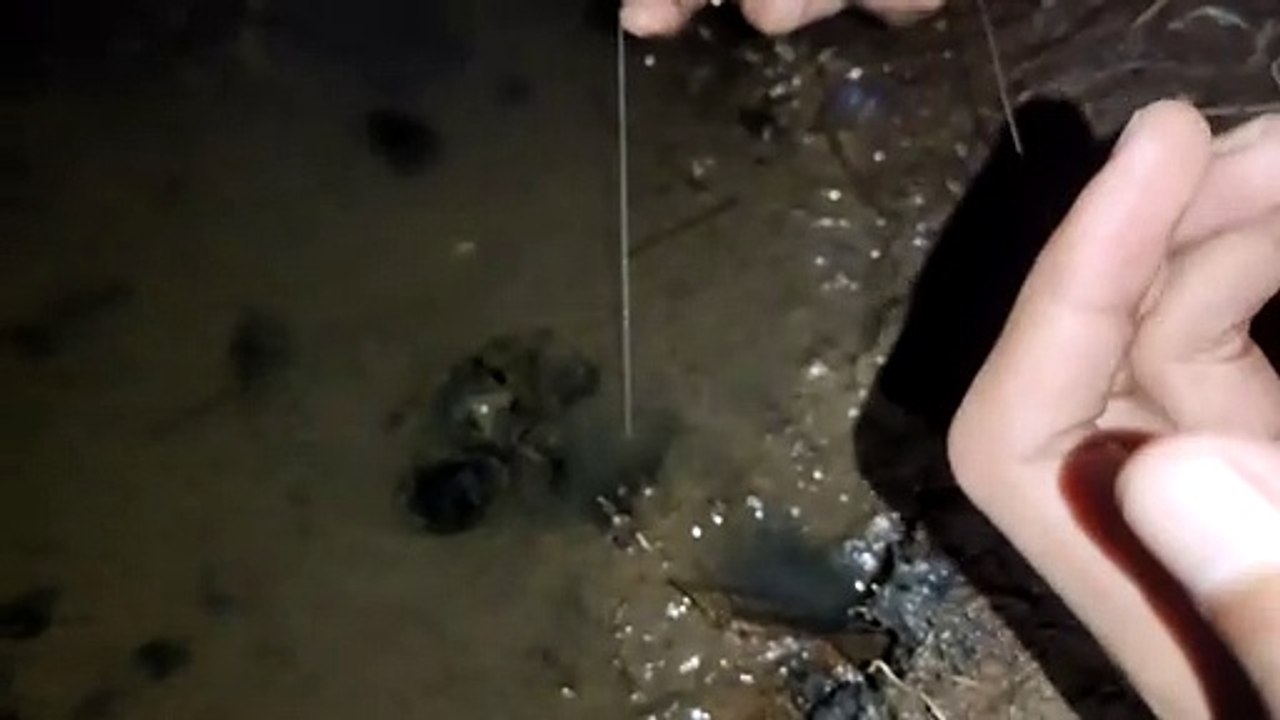 Fishing night 