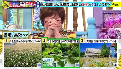 今夜はナゾトレ2023年3月14日花の知識王決定戦＆日光東照宮！徳川家康の謎 part 1/1