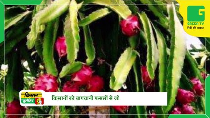 Kisan Bulletin 14th March 2013 - किसान लगवाएं रिचार्जिंग बोरवेल सिर्फ 25 हजार रूपये में, बाकी का खर्च वहन करेगी सरकार | Haryana