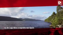 Caçador do Monstro do Lago Ness afirma que duas criaturas distintas podem existir