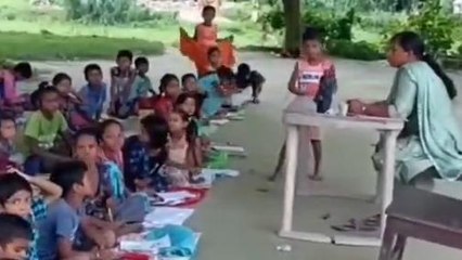 खगड़िया: पेड़ की छांव के नीचे चल रहा स्कूल, जिम्मेदार बेखबर