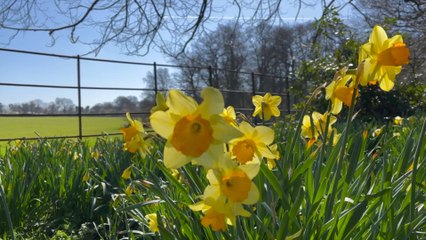Bristol March 14 Headlines: Sir David Attenborough films near bristol