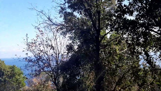 Mount Athos 2020, the route from Karyes to the Holy Monastery of Pantokratoros