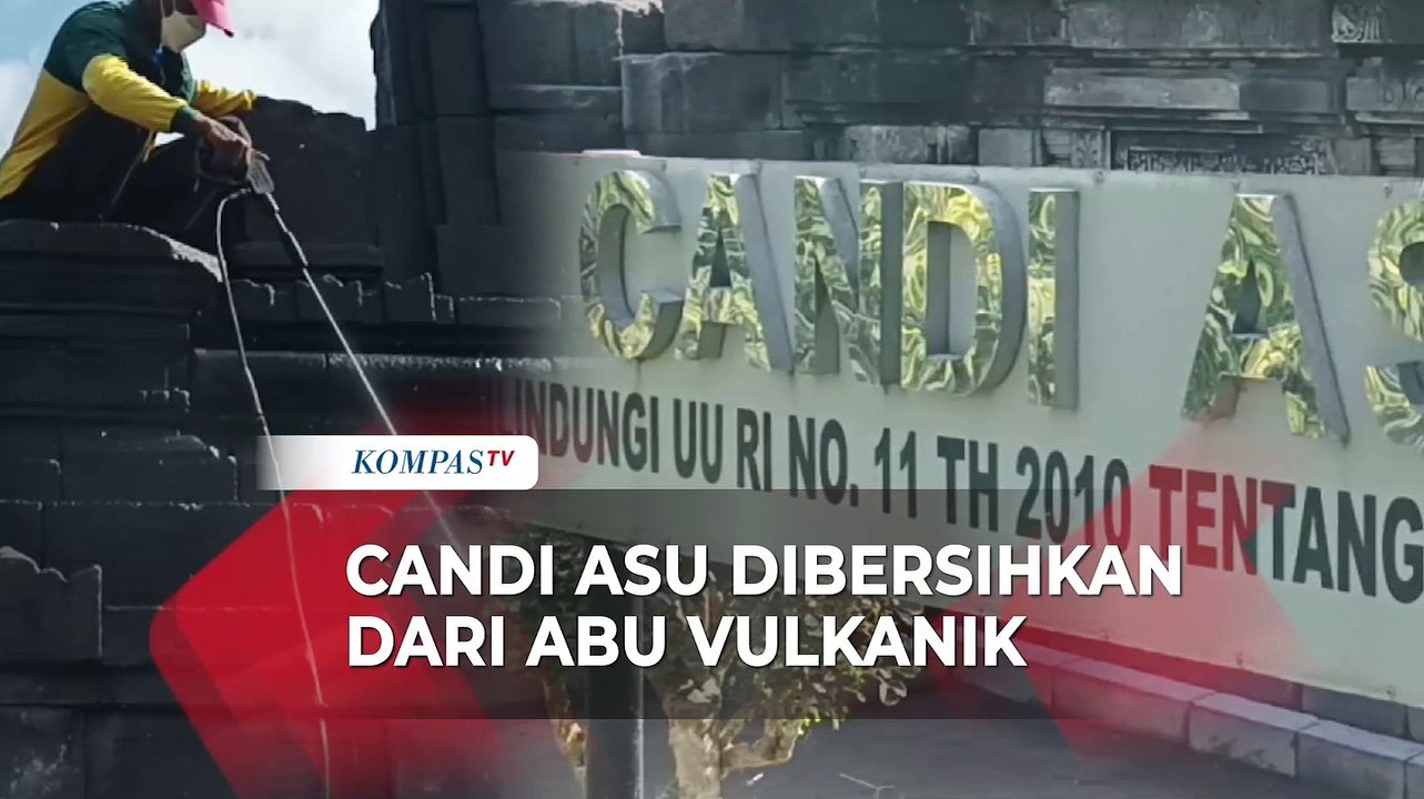 Abu Vulkanik Selimuti Candi Asu, Petugas: Abu yang Menempel Bisa Merusak Struktur Bebatuan
