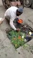 Ce vendeur ambulant nous montre comment il lave ses légumes