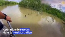 Un bébé kangourou sauvé des inondations en Australie