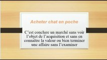 19)  Acheter chat en poche. . Proverbe Français, expression