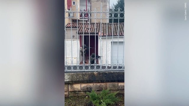 British soldiers seen firing guns on suburban French streets - to bemusement of locals