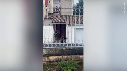 British soldiers seen firing guns on suburban French streets - to bemusement of locals