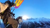 'Now that's crazy!' - Adventurous dog loves to paraglide with owner