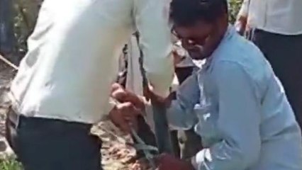 मैहर: बिजली विभाग ने की कार्रवाई,बिल जमा नहीं होने पर काटे 8 घरों के कनेक्शन