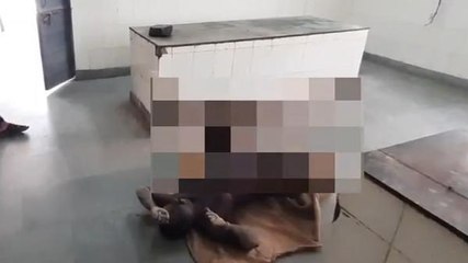 मुरैना: अधेड़ का खेत मिला शव, क्षेत्र में फैली सनसनी, जांच में जुटी पुलिस