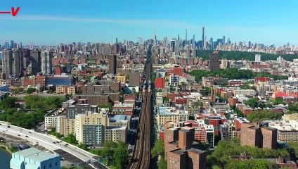 Gray Market Cannabis Sellers Continue to Siphon Tax Revenue Away From Legal Sales