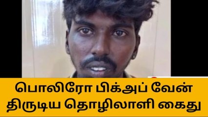 அரவக்குறிச்சி: சரக்கு வானத்தை திருடிய கூலி தொழிலாளி கைது!
