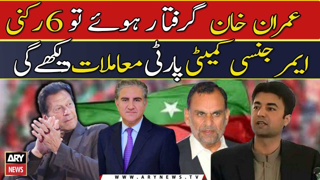 If Imran Khan is arrested, 6-member emergency committee will look after party's affairs