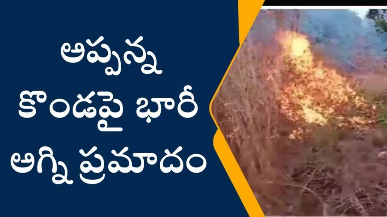 విశాఖపట్నం: అప్పన్న కొండపై భారీ అగ్ని ప్రమాదం... ఎగసిపడుతున్న మంటలు