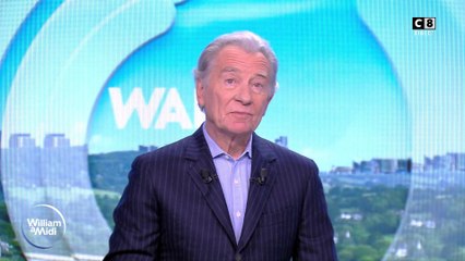 Vos Animaux : Conseils de Pro pour le Bien-Être de Vos Compagnons 🐾