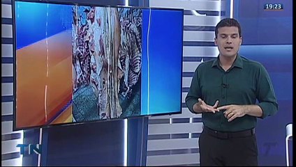 14 toneladas de carne podre são apreendidas na Grande Vitória