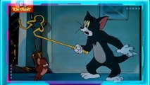 Tom And Jerry Classic Cartoon Funny Moments Full Episode In HD-Official Cartoon Network WB Animation