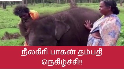 நீலகிரி: ஆஸ்கர் விருது வென்ற யானை பாகன் தம்பதிகள் பெரும் நெகிழ்ச்சி