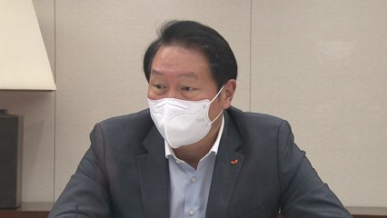 최태원, 누리꾼 형사 고소 이어 3천만 원대 손배소송 / YTN