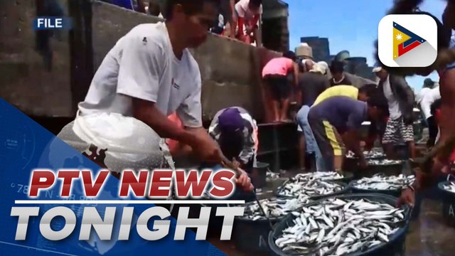 Gov’t to set up cold storage facilities in various fish ports in PH