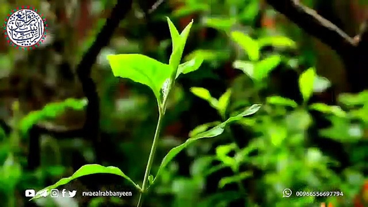 اعظم ما يصلح القلوب _ موعظة مؤثرة جدا _ الشيخ محمد المختار الشنقيطي _ _غير_حياتك _ حالات واتس اب