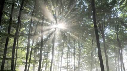 What Happens to Your Body When You Take Vitamin D Every Day