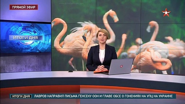 кадры от которых холодно