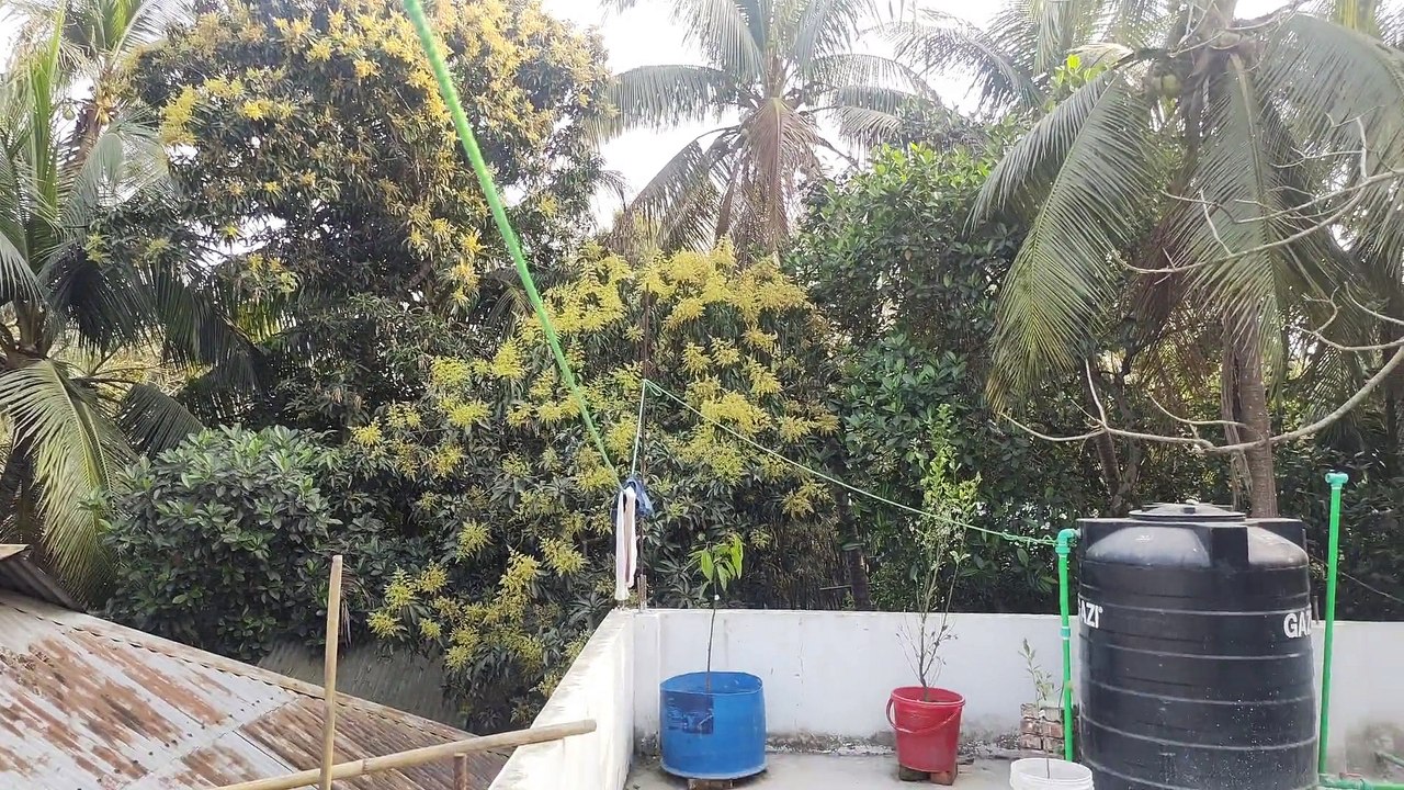 Natural Green