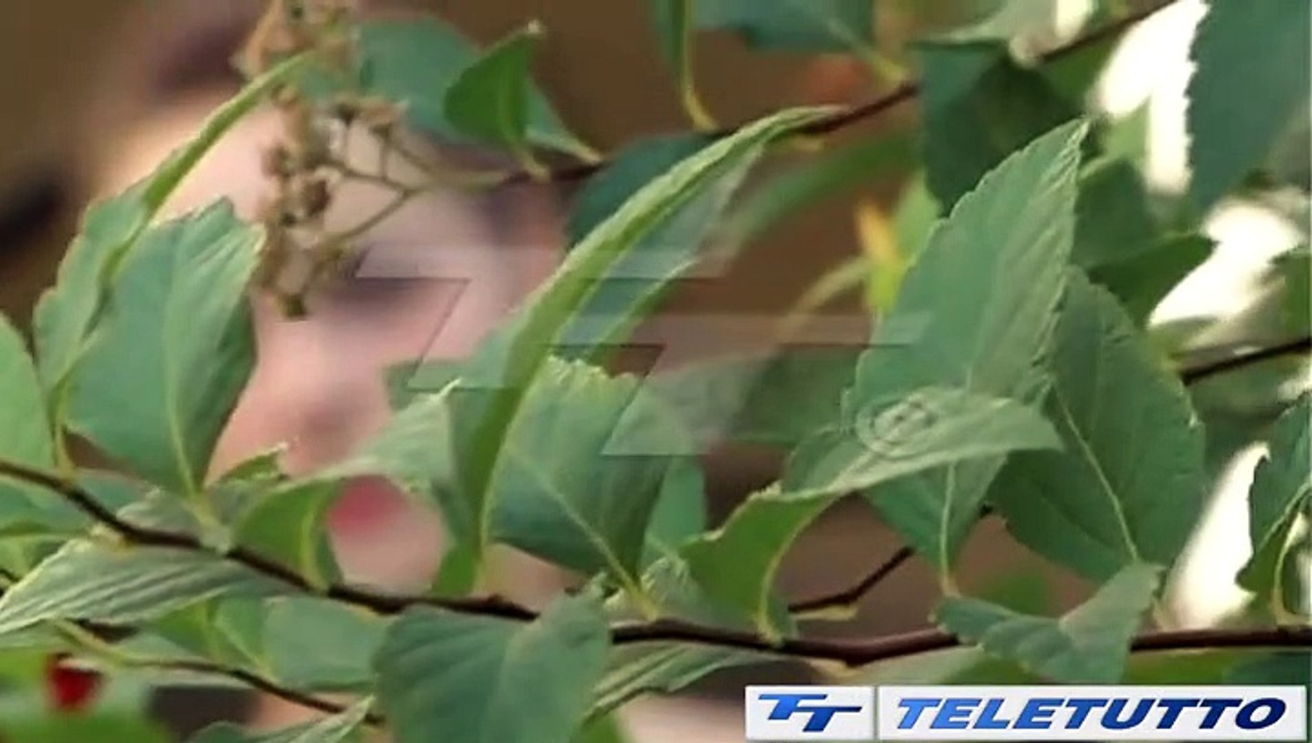 Video News - REDDITO DI CITTADINANZA