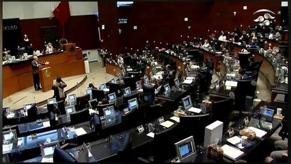 ¡VEAN! ¡La Senadora Antares tunde a ‘Re-mentiría’ por atacar con falsedades a la Guardia Nacional!