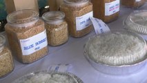 Inauguran Centro Nacional de Investigaciones en Arroz “Eden Pastora” en Matagalpa
