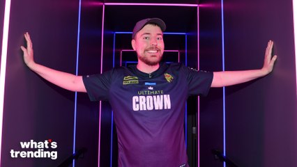 Why Do People Hate Mr. Beast?