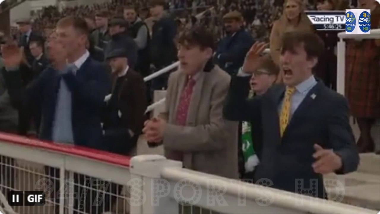Watch heartbreaking moment owners of Mahler Mission see dramatic fall at second last while CRUISING to Cheltenham win
