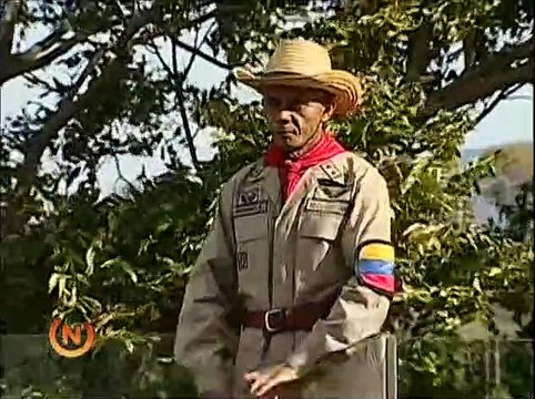 Realizan actos protocolares en el 4F en honor a la siembra del Comandante Chávez